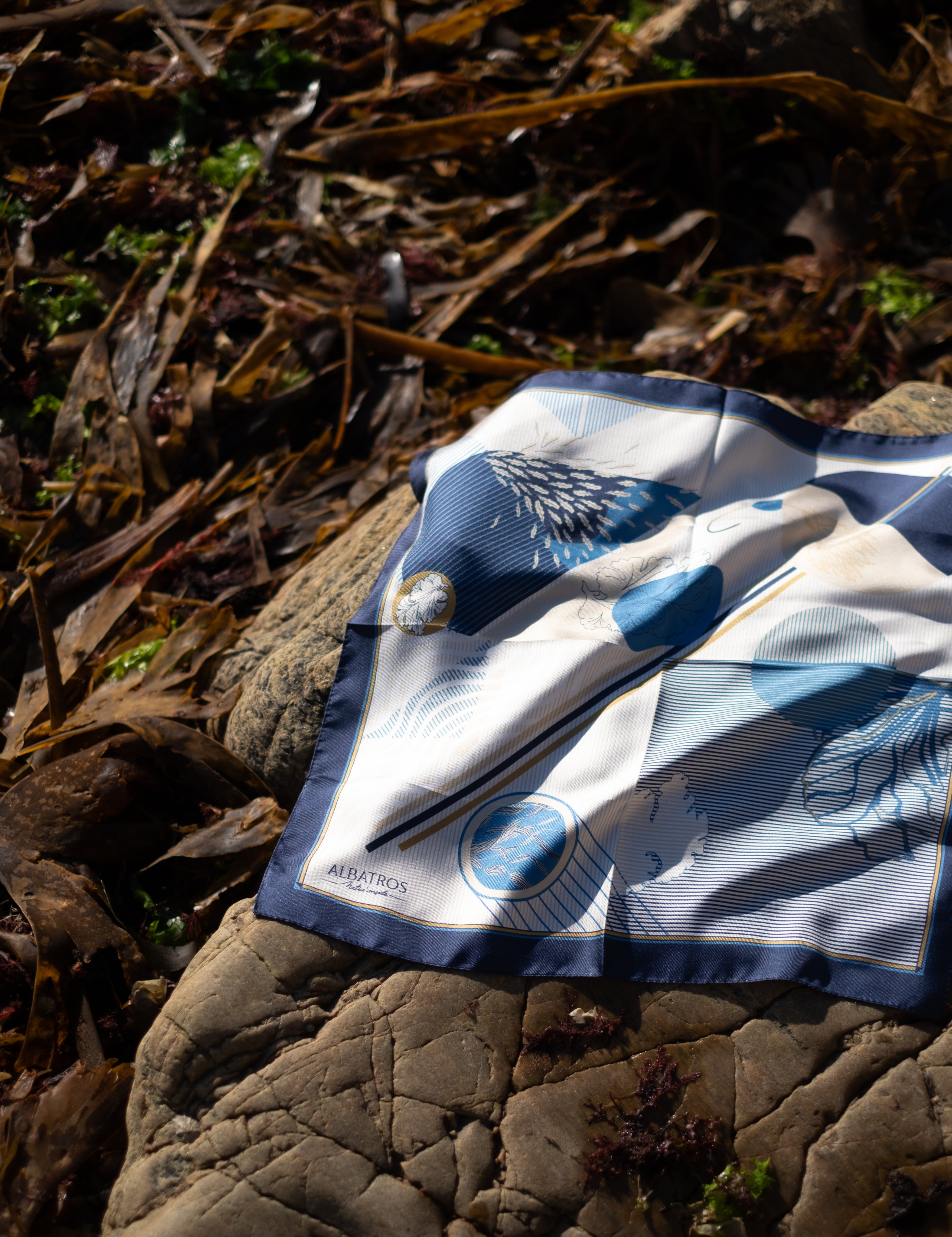 DSCF9730-2.jpg